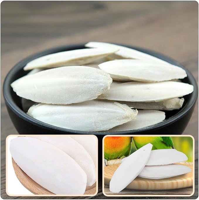 Abaodam 12sets Hamster Toys Cuttlebone Chewing Bone Bite Toy Holder Bird Cage Accessories for Parrots Pet