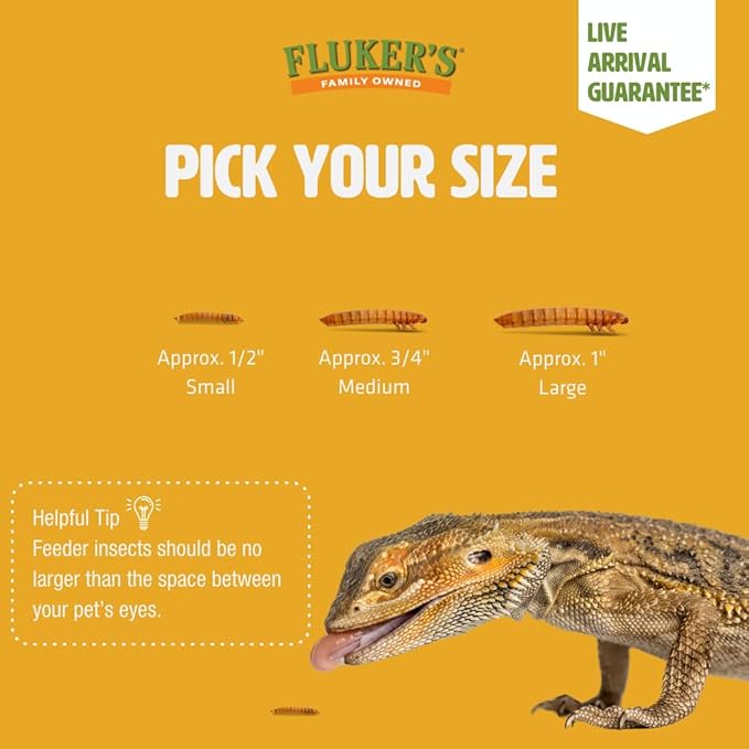 Fluker's Live Mealworms, 250 Count Insects for Reptiles, Chickens, and Birds, Medium Size, (Approx. 3/4")
