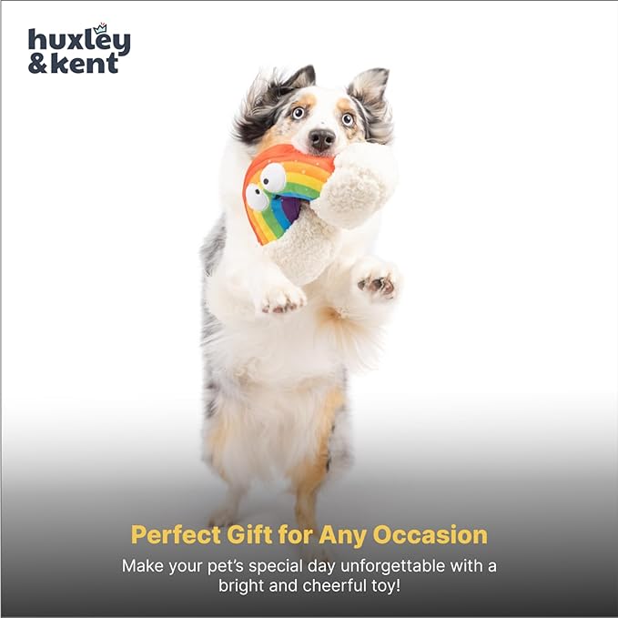 Huxley & Kent Funny Dog Toy w/Squeaker – Power Plush Squeaky Dog Toys for Small, Medium & Large Dogs – Soft Stuffed Animal for Indoor Play & Fetch - Happy Rainbow, Small