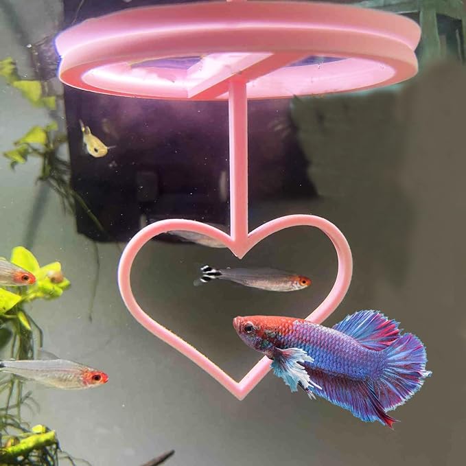 Floating Heart Betta Training Ring, Heart Active Betta Training Floating Ring, Floating Feeder, Betta Loops for Aquarium Decor, Pink, 3.8in x 3.7in (Pink, Single)