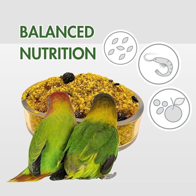 Pineta Parrochetti SoftPlus 5Lb - Breeding Paste for Parrots, Lovebirds, Cockatiels, Rosellas – Nutrient-Rich Fruit & Berry Food – Ideal for Growth, Molting, and Reproduction