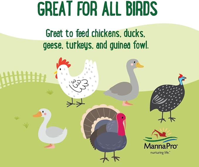 Manna Pro Farmhouse Favorites Quirky Quatro Crunch, 100% Natural Protein Treat for Mixed Flocks & Poultry – Blend of Black Solider Fly Larvae for Chicks and Chickens, Mealworms, Beetles & Shrimp – 2lb