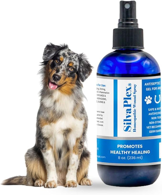 Animal Wound Spray with AG21 Chelated Silver, 8 oz, for Cuts, Burns, Scrapes, and Itching in Dogs, Cats, Horses, and Cows