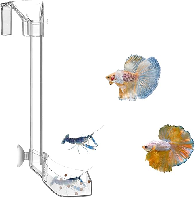 Aquarium Fish Shrimp Feeding Dish Set - Clear Feeder Tube and Dish With Cleaning Brush and Measuring Spoon for Shrimp - Prevents Food Scattering - Supplies for Small Fish