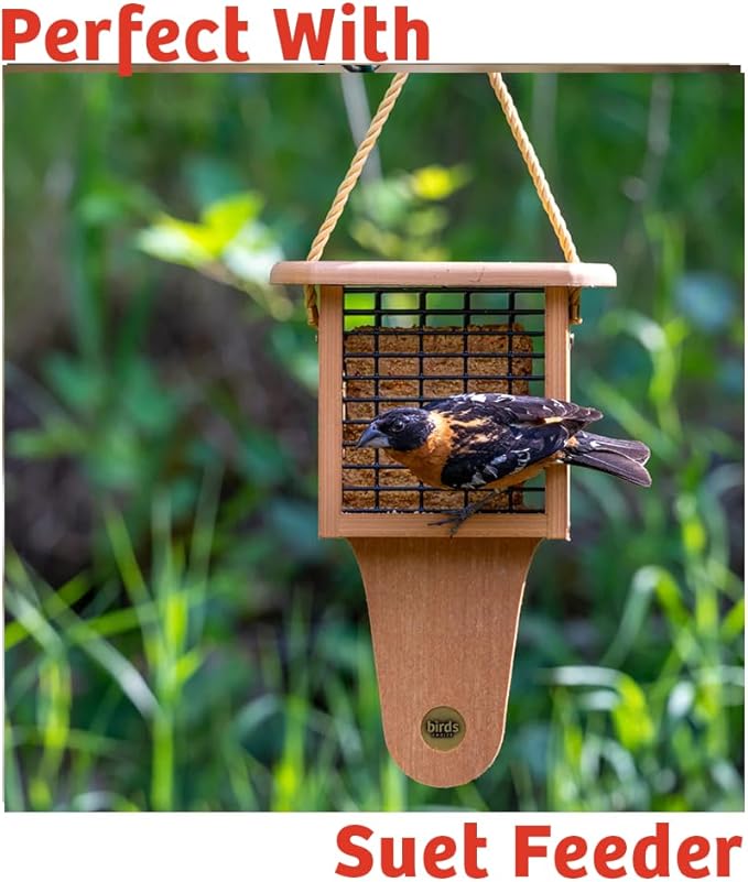 Birds Choice Cardinal's Crave Seed Cake | Wild Bird Food for Cardinals | High-Energy Mix of Black Oil Sunflower Seeds, Pecans & Millet | High Protein & Fat Backyard Feeders | 0.55 lbs (6-Pack)