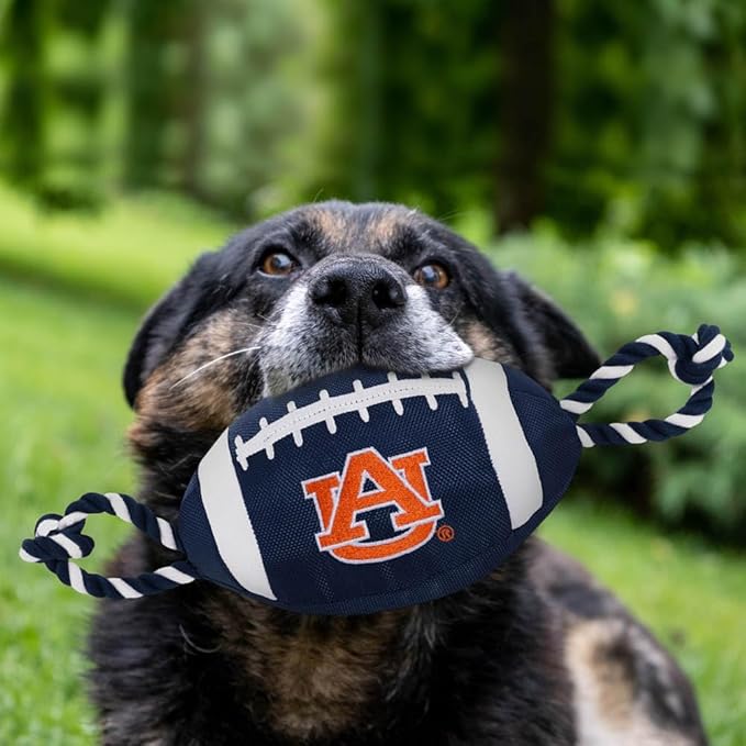 Pets First NFL Unisex NFL Nylon Football