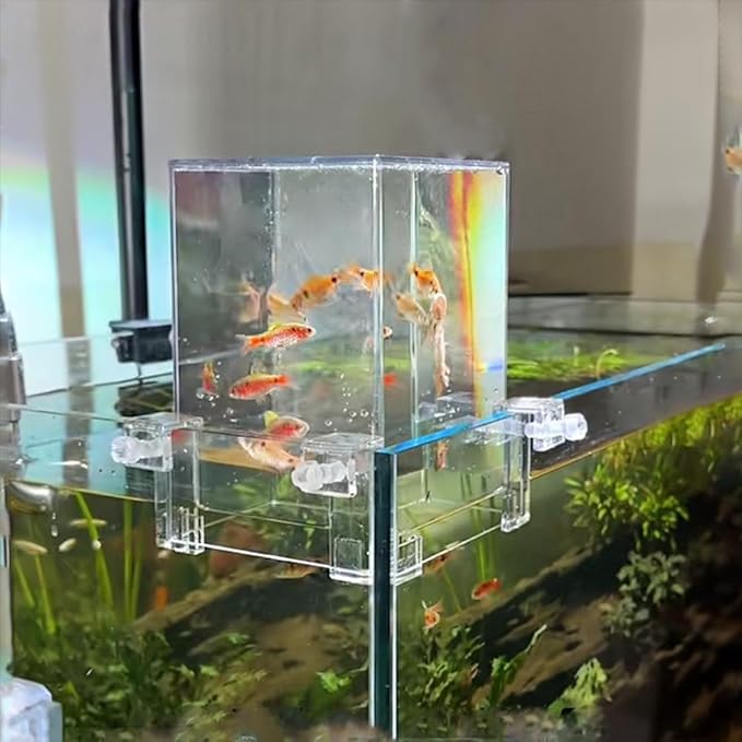 Fish Elevator Inverted Aquarium, Transparent Acrylic Fish Tank, Auto-Refill Water Level Maintenance, Suspended Fish Tank for Aquatic Pets