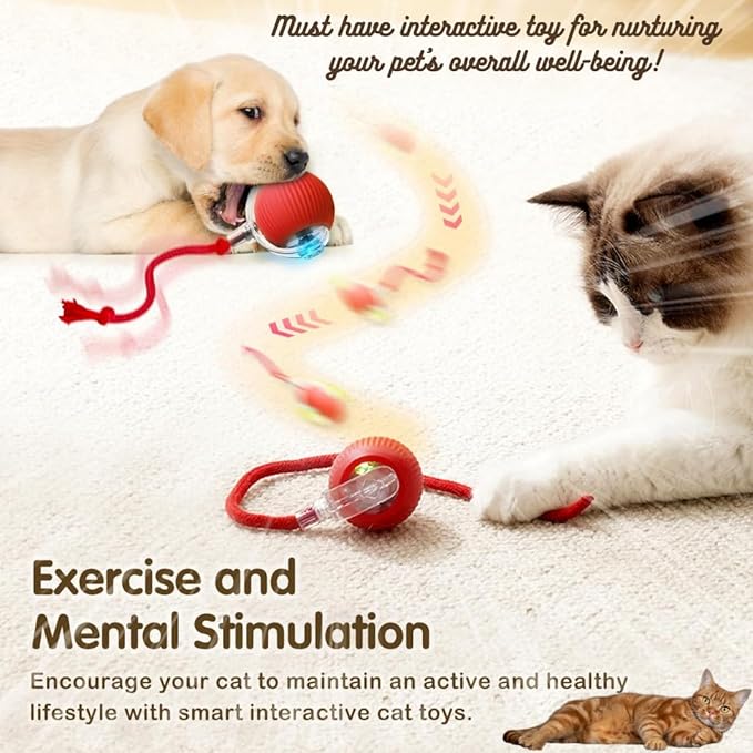 Interactive Electric Automatic Rolling Moving Rechargeable Self Play Stimulation Toy,Smart Pet Chase Ball with Speedy Tail Rope for Bored Indoor Cats enrichment,stimulating Dogs toy(Small Dogs)(Green)