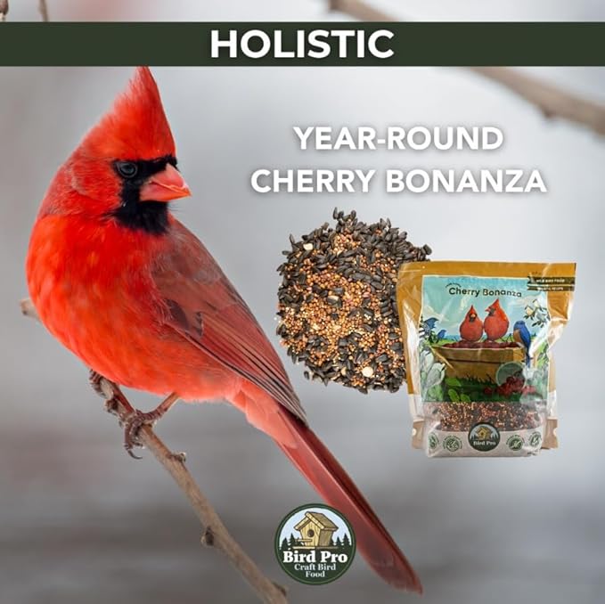 Bird Pro Holistic Bird Seed - Premium Seed for Backyard Feeding (36 Pounds, Cherry Bonanza)
