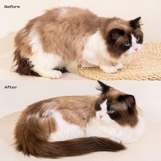 Concentrated Cat Waterless Shampoo & Conditioner with Bath Mitt - Rinse-Free, Sensitive Skin, Stress & Itch Relief Gentle Leave-in Serum – 98.65% Naturally Derived Dry Shampoo for Cats