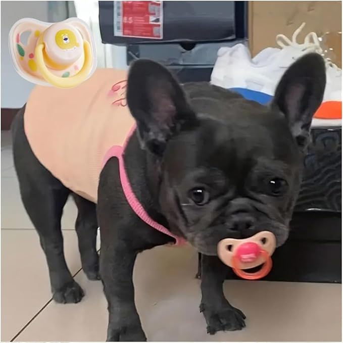 Cats Dog Soft Silicone Pacifier Small Pet Pacifier Chew Toy Pet Chew Toy Animal Accessories Decoration (Combination)