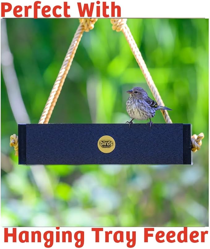 Birds Choice Cardinal's Crave Seed Cake | Wild Bird Food for Cardinals | High-Energy Mix of Black Oil Sunflower Seeds, Pecans & Millet | High Protein & Fat Backyard Feeders | 0.55 lbs (6-Pack)