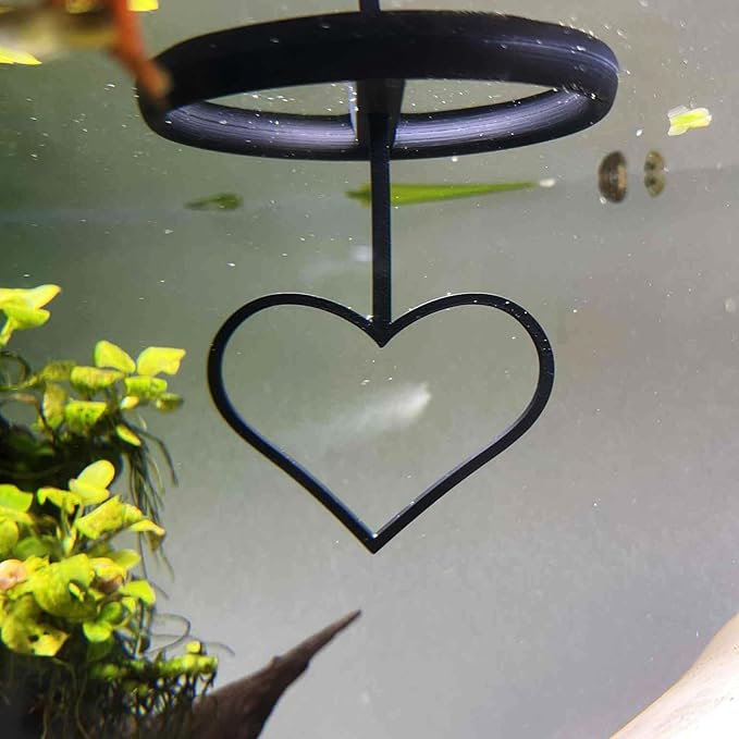 Floating Heart Betta Training Ring, Heart Active Betta Training Ring, Floating Feeder, Enrichment Toys for Aquarium Decor, Pink, 3.8in x 3.7in (Black, Pack of 2)
