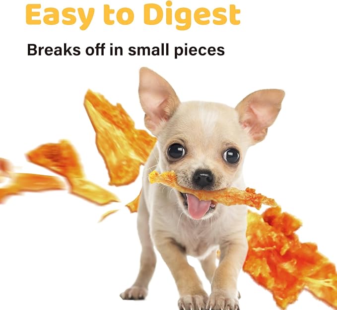 iPaw Turkey Tendons for Dogs 10 Pcs Bulk Pack, 100% Turkey and US Sourced Raw Material, Hypoallergenic, All Natural Human Grade Puppy Chew, Rawhide Alternative Dog Treats, Bone (Large)