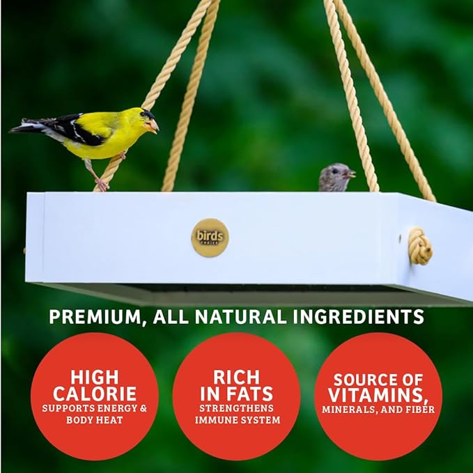 Birds Choice Cardinal's Crave Seed Cake | Wild Bird Food for Cardinals | High-Energy Mix of Black Oil Sunflower Seeds, Pecans & Millet | High Protein & Fat Backyard Feeders | 0.55 lbs (6-Pack)