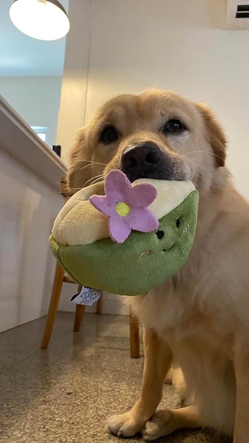 Plush Toys Coconut Hide and Seek Snuffle Toys for Dog and Cat Treat Puzzle Crinkle Toys