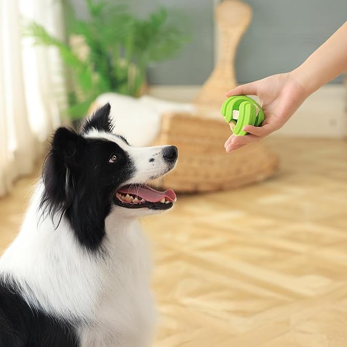 PetDreamHouse Chewtastic Geometrics Natural Rubber Enrichment Dog Toy Geo-Gem Green, Engaging Rolling and Unpredictable Bounce, Stuffable and Fun to Chew and Fetch