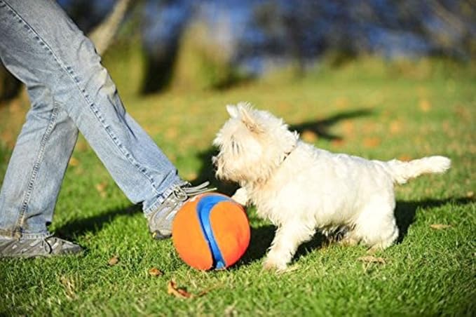 Chuckit! Kick Fetch Ball Small Ball - 5.5" Diametger (1 Pack) - Pack of 2