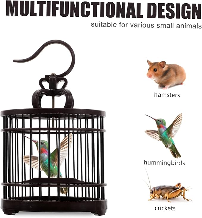 BESPORTBLE Portable Decorative Bird Cage Habitat Box Small Animal Carrier for Crickets Hamsters Hummingbirds Easy to Clean Stylish Design for Indoor Outdoor Use