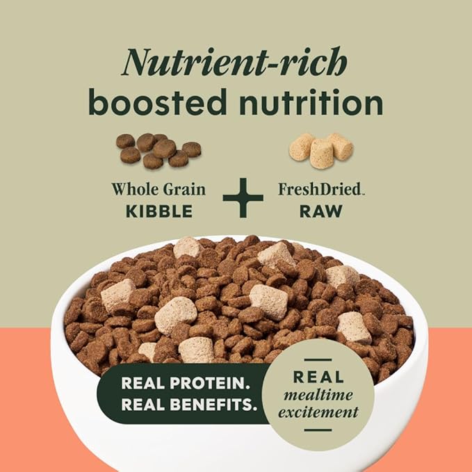 Instinct RawBoost, Natural Dry Dog Food with Freeze-Dried Pieces, Whole Grain Recipe - Real Salmon & Brown Rice, 19 lb. Bag