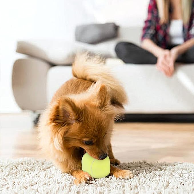 Dog Toys Balls - Chewable Plush Tennis for Dogs, Soft Pet Squeaky Ball Stuffed with Fluffy, Durable Indoor & Outdoor Dog Puzzle Toy, Birthday for Puppy Small and Medium Breeds