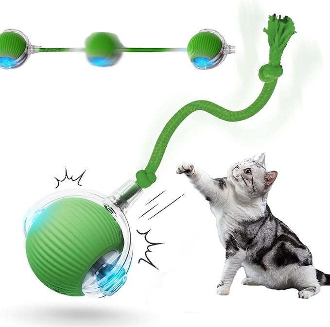 Interactive Rolling Cat Dog Ball - 2025 Upgraded Automatic Moving Cat Toys Ball Dog Toy Interactive,Smart Rolling Ball Toy Electric Balls Toys for Bored Indoor Dog/Cat (Green)