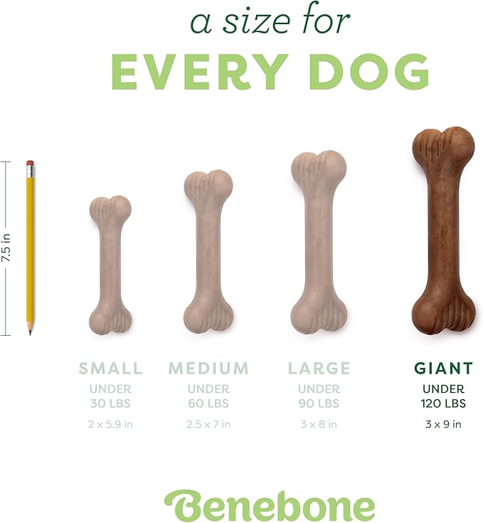 Benebone Bone Durable Dog Chew Toy for Aggressive Chewers, Real Bacon, Made in USA, Giant