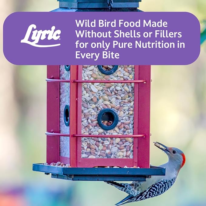 Lyric Delite Wild Bird Seed for Outside Feeders - No Waste Bird Food, Shell-Free Nuts & Seeds Mix, Attracts Buntings, Chickadees & Finches, 20 lb Bag