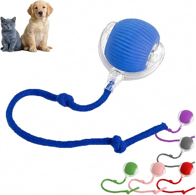 Smart Tiny Fetch Dog Toy, Interactive Cat Toys Ball with Smart Motion Sensor and Auto-Dodging for Bored Kitten Pet Cats Dogs (Blue)