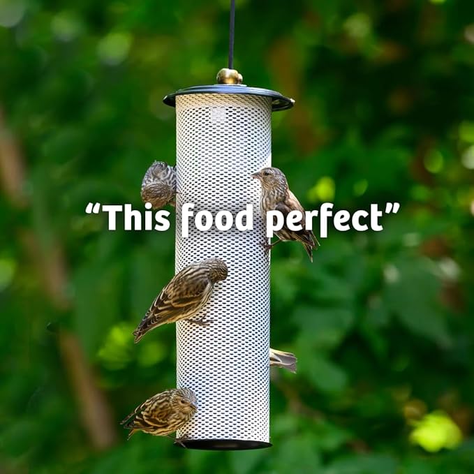 Birds Choice Finch Feast Wild Bird Food | Nutrient-Rich Bird Seed Blend | High-Energy with Nyjer Thistle, Sunflower Chips, Nyjer & Vegetable Oil | High Protein & Fat for Attracting Finches | 5 lbs