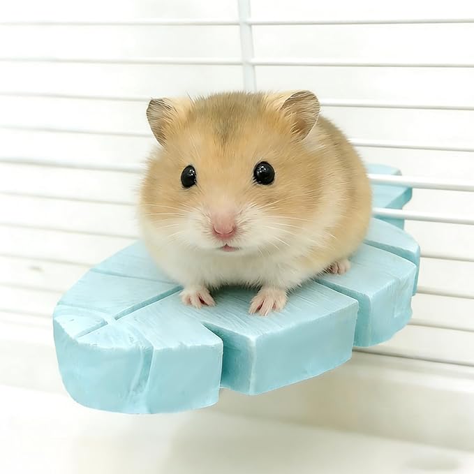 Carrot-Shaped Small Pet Platform Stand - Cage Climbing Toy Accessories for Hamster, Squirrels, Sugar Gliders, Mice,Parrots, 3 Pcs