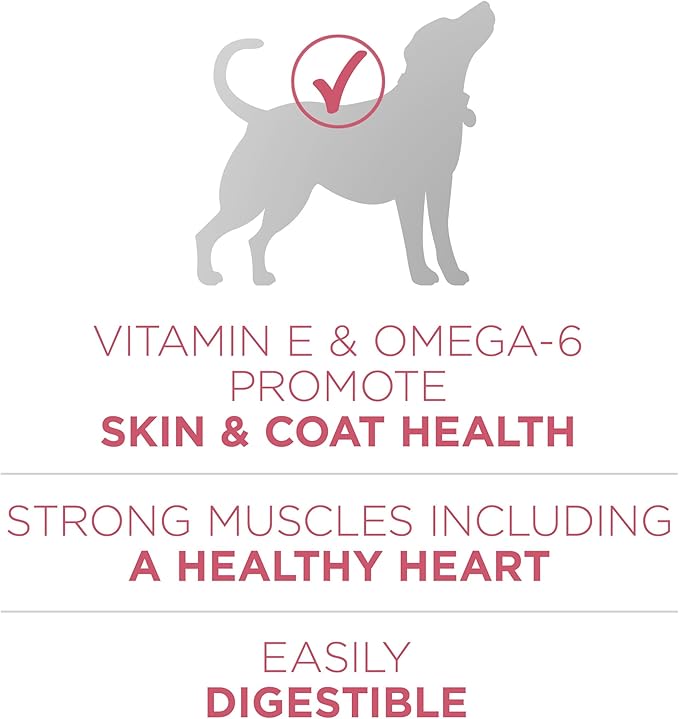 Purina ONE Natural, Sensitive Stomach Dry Dog Food, +Plus Skin & Coat Formula - 8 lb. Bag