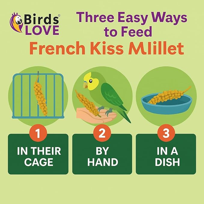 Birds LOVE 2lbs French Kissed Spray Millet for Birds – Harvested in France & Packed in the USA – 100% Natural & Sun‑Dried Millet Spray for Parakeets, Cockatiels, Conures, Parrots & Budgies