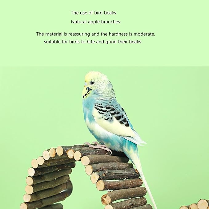2PCS Bird Gym Stand Toy Birdcage Climbing Ladder Grinding Chewing for Small Birdcage Accessories Pet Supply Grinding