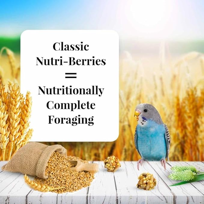 LAFEBER'S Classic Nutri-Berries Pet Bird Food, Made with Non-GMO and Human-Grade Ingredients, for Parakeets (Budgies), 4 lb