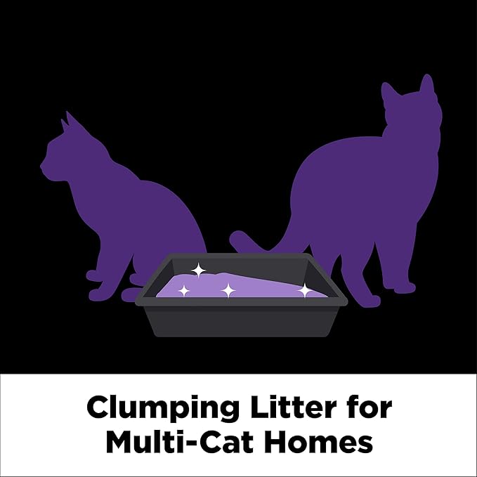 ARM & HAMMER Clump & Seal SLIDE Platinum Multi-Cat Clumping Cat Litter, Easy Clean Technology with No Scrubbing, 14-Day Odor Control, 18 lbs