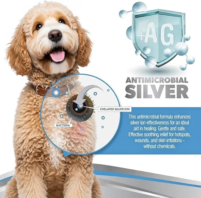 PetSilver Antibacterial Wound & Skin Spray | Dog Hot Spot Treatment & Cat Wound Spray | Chelated Silver Skin Soother for Rashes & Sores | Dog Wound Care & Itch Spray - 4 fl oz