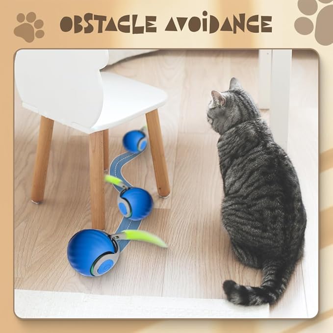 Coloday 2025 New Speedy Toy Cat Toy, Interactive Cat Toys Ball for Indoor Two Speed Adjustment with Replacement Tail, USB Rechargeable Smart Cat Toys Ball Smart Automatic Rolling Pet Ball (Orange* 2)