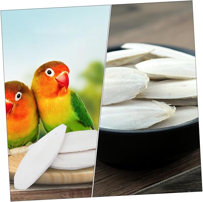 GANAZONO 12sets Hamster Chew Toys Cuttlebone Holder Bird Cage Accessories Pet Toys for Molars Calcium