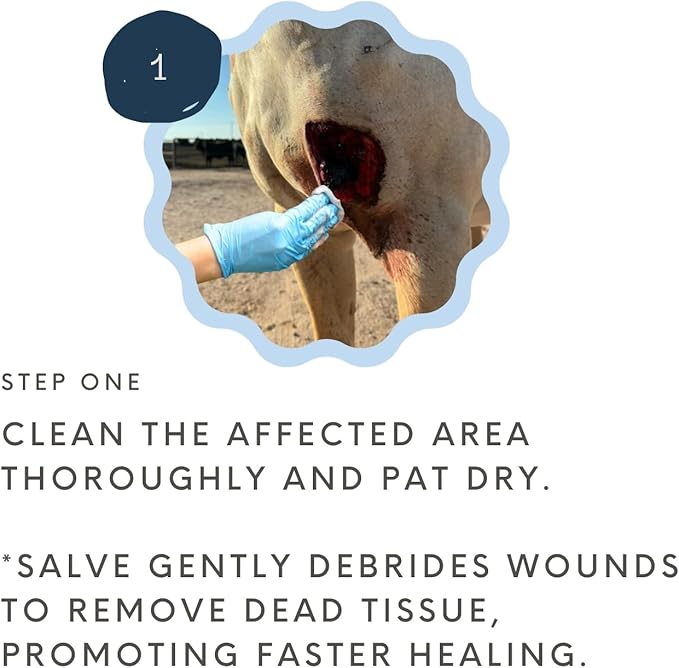 Wound Salve - For Horses, Pets, Livestock & People - Calendula, Shields Abrasions, Stops Infections, Promotes Scabbing, Reduces Inflammation & Scarring, Vet-Approved - Bev's Magic Salve (6 oz)