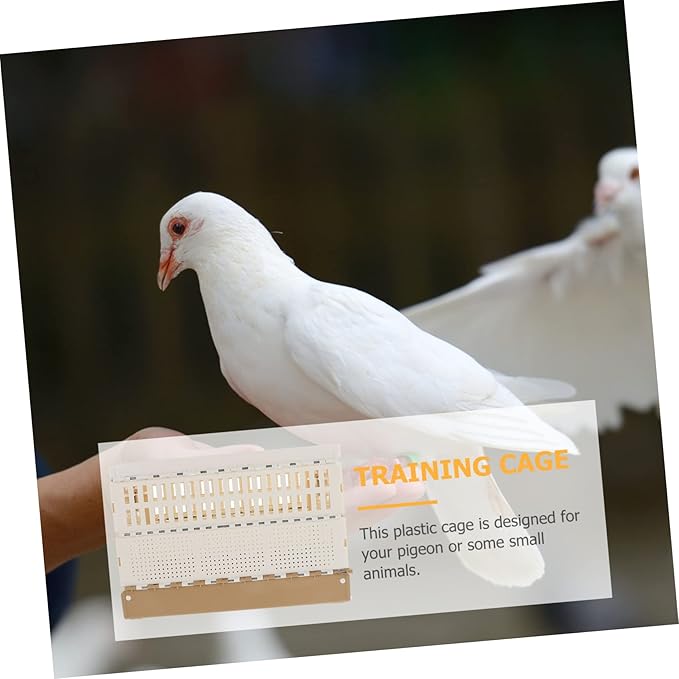 Pigeon Training Cage Foldable Plastic Pigeon Nest for Easy Cleaning and for Outdoor Use Compact Design for Convenient Storage
