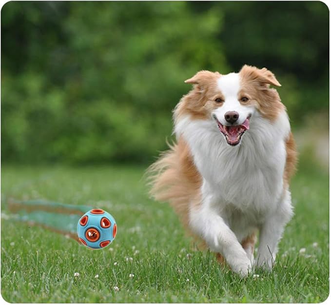 WishLotus Dog Ball Toy, Dog Interactive Toy with Ring Bell Squeak Toys Dog Rubber Bouncy Ball Pet Exercise Game Puzzle Ball to Increase IQ Search & Catch Bite Resistant Chewing Toy (S, Orange&Blue)