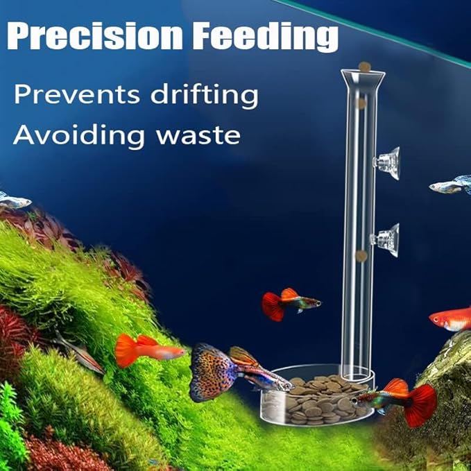 Fish Feeding Ring, Shrimp Feeding Dish, and Feed Measuring Spoon - Ideal Betta Fish Toys and Aquarium Accessories with Coral Feeder and Shrimp Tube