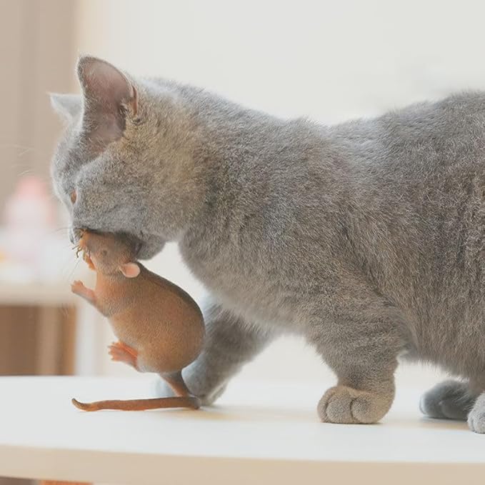 Realistic Cat Mouse Toy Soft Silicone Chew Durable Cat Entertainment Mouse Interactive Catnip Toy 5.5 x 2 Inches