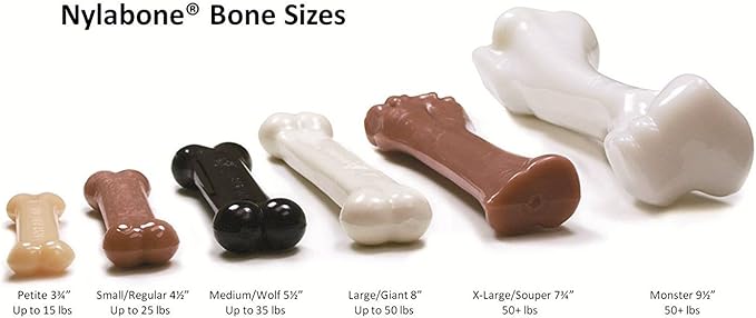 Nylabone 3 Pack of DuraChew Bone Dog Toy, XL/Giant, Chicken Flavor, Made in The USA