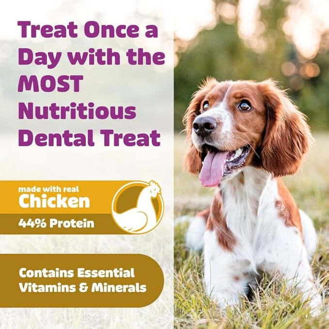 Longevity15 C15:0 Dog Health Supplement (30-Day Supply) & Yummy Combs Dog Dental Treats (8oz Bag) for Large Dogs – C15:0 Fatty Acid for Daily Wellness, Food Topper – VOHC Approved Oral Care Treat