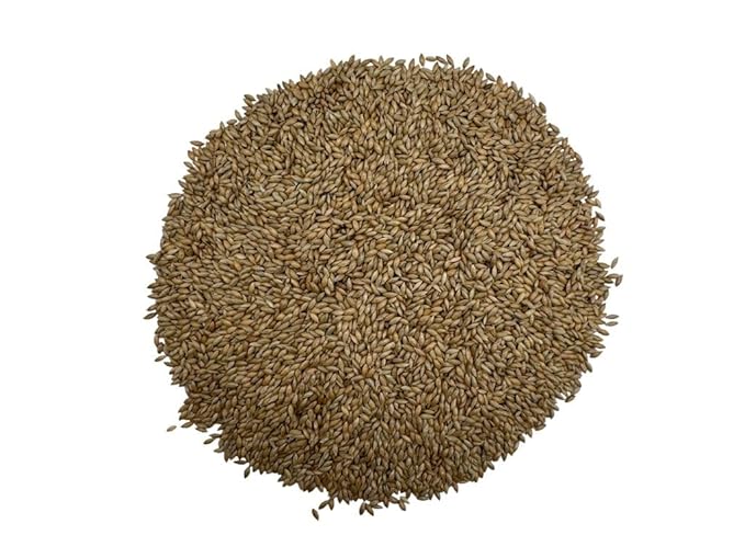 Canary Seeds – 2.5LB Natural Grain for Human Consumption
