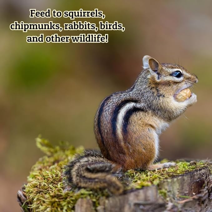 Ernst Grain & Livestock Out of Shell Peanut Splits & Wholes, 10lb, Perfect for Squirrels, Birds, Deer, and Other Wildlife, Raw Peanuts