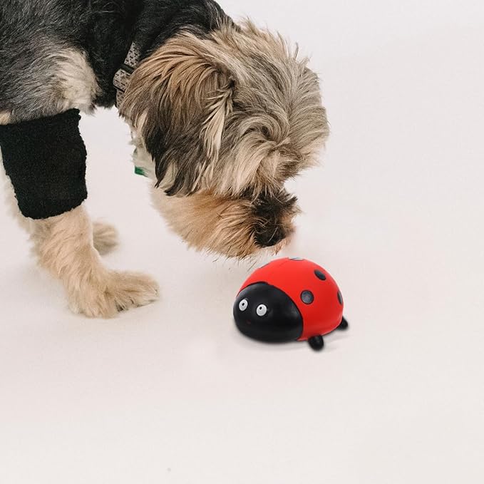 Squeaky Latex Pet Chew Toy Ladybug Spider Design for Puppy Teething Durable Interactive Dog and Cat Toy