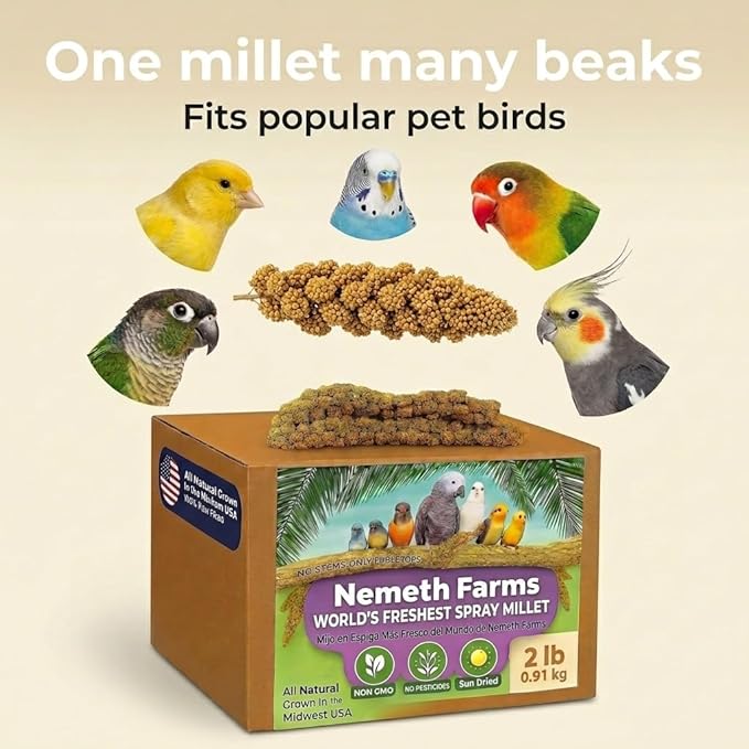 Nemeth Farms Spray Millet - Edible Tops Only, Non-GMO and Sun-Dried - 2 lbs for Cockatiels, Lovebirds and Budgies